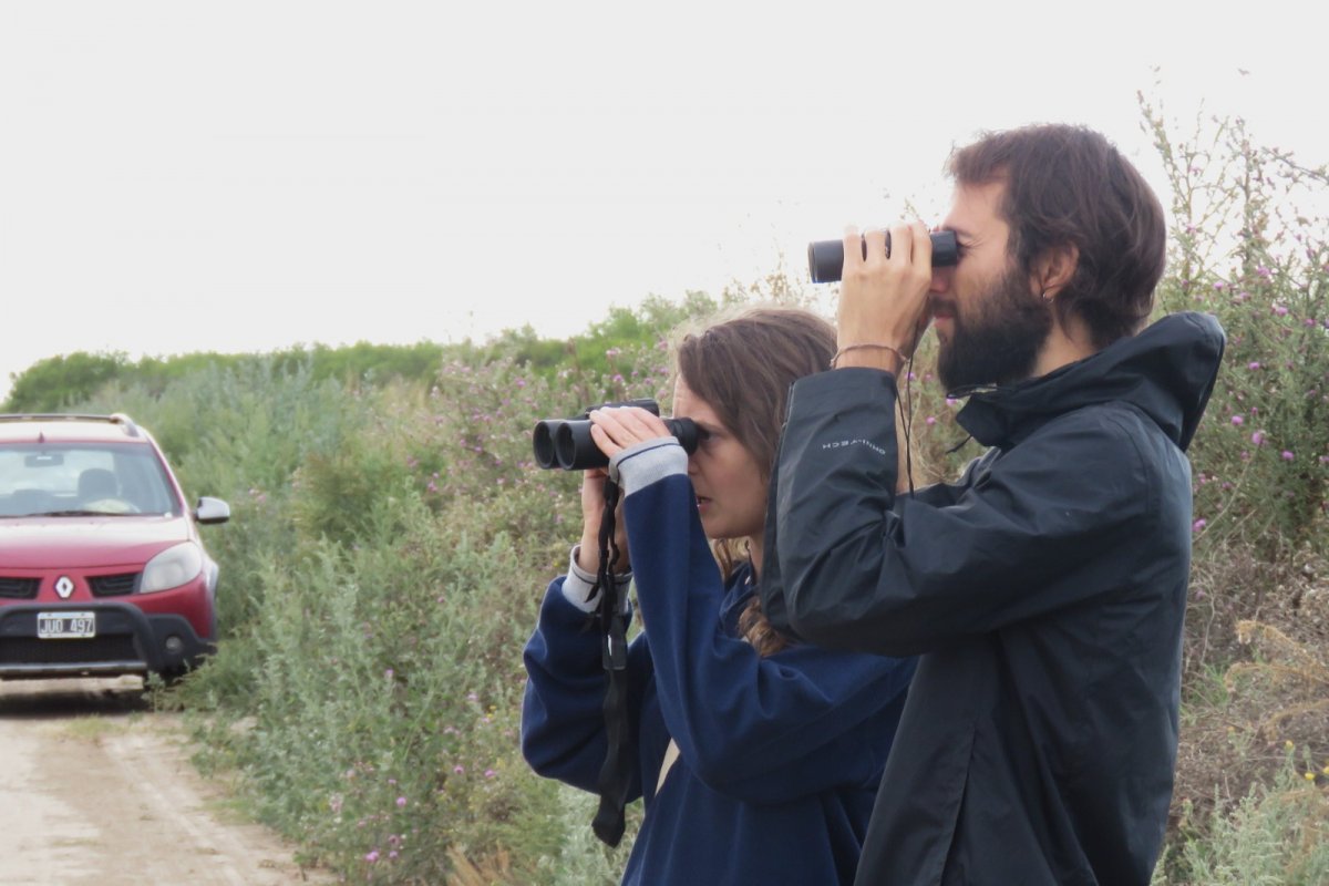 Imagen de Observación de aves en Las Piedras