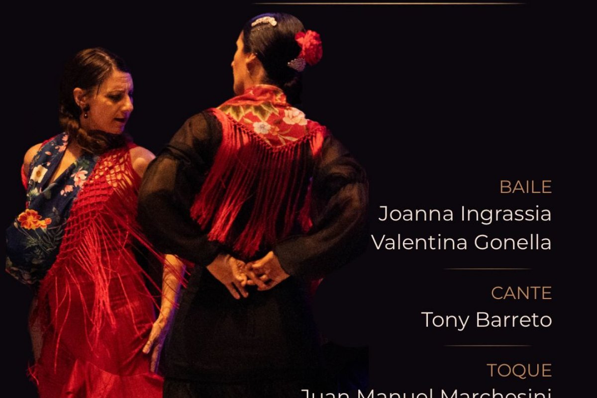 Imagen de Noche de tablao flamenco en Sala Sinergia