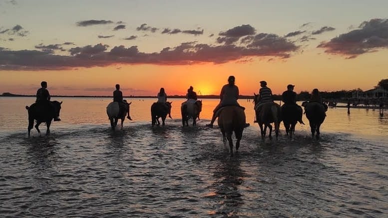 Cabalgatas Ñandubaysal 