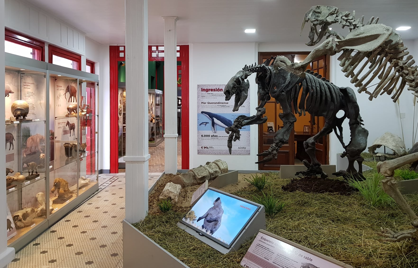 Museo de Ciencias Naturales y Arqueología “Prof. Manuel Almeida”