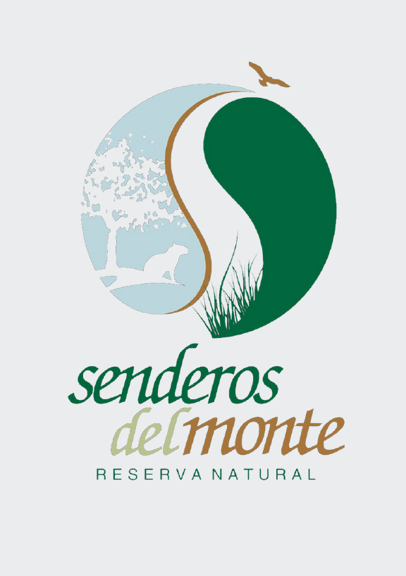 Logo 20
